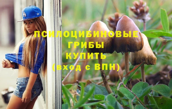 мет Вяземский