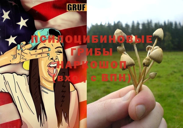 мет Вяземский