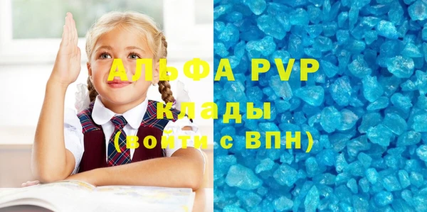 сатива Вязьма