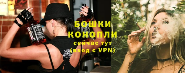 сатива Вязьма